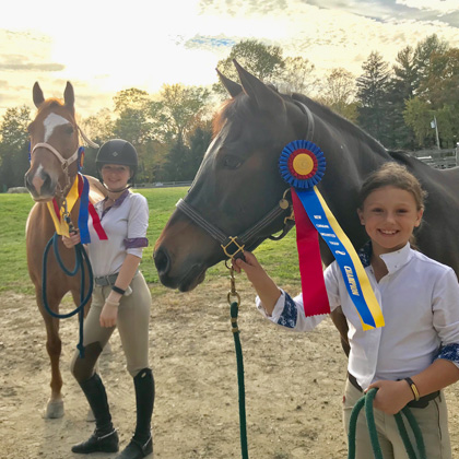 horse shows