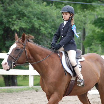 riding lessons