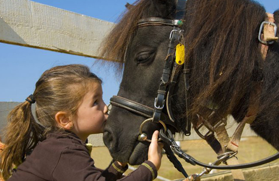 pony parties