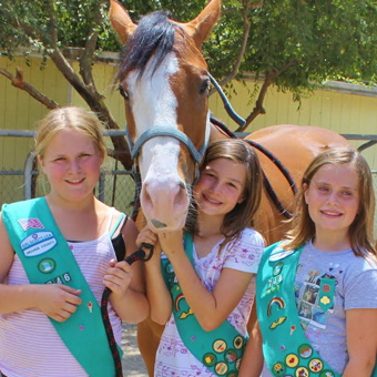 girl scout badges