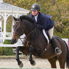 horseback riding lessons